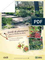 Guide de Plantation 100 Plantes Qui Résistent À La Sécheresse