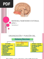 Sistema Nervioso Central