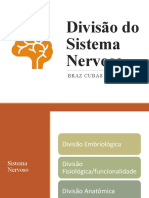 Divisão Do Sistema Nervoso: Braz Cubas