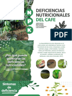 Deficiencias Nutricionales Del Cafe