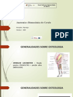 M1 - Anatomia e Biomecânica Do Cavalo