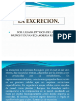 La Excrecion Diapositiva LILIANA Y DUVAN