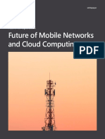 Future of Mobile Networks