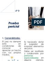 Tema #9: Prueba Pericial