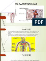 Sistema Cardiovascular