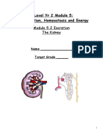 A Level Yr 2 Module 5: Communication, Homeostasis and Energy