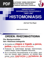 02 Histomoniasis Nueva