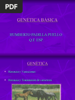 Genetica Basica 2