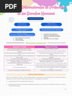 Sistema Internacional de Proteccion de DDHH