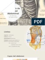 Anatomía de Pared Abdominal