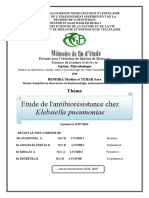 Etude de L'antibiorésistance Chez: Klebsiella Pneumoniae