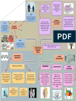 Mapa de La Corrupción