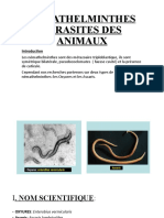 .Nemathelminthes Parasites Des Animaux - 1631838305000