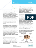 El Cuaderno 44 Los Cultivos Transgenicos en Argentina Caracteristicas y Uso