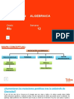 Álgebra Radicación Algebraica: Curso