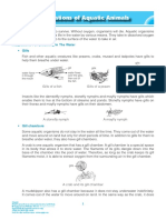 Adaptations of Aquatic Animals Min