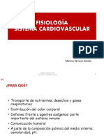 CARDIOVASCULAR Fisio Apuntes