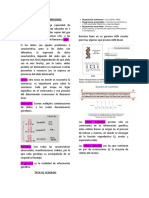 El Adn Mitocondrial