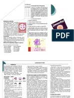 Fisiologia Leucocitos