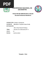 Informe Laboratorio