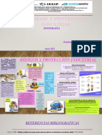 Infografia Sobre Riesgos y Protección Industrial