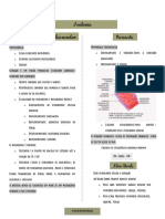 Anatomia Anatomia Do Sistema Cardiovascular: Pericárdio