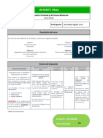 ReporteFinal - AULA 3 - LFFS