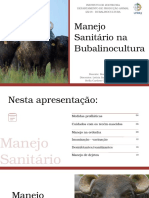 Manejo Sanitário Na Bubalinocultura: Instituto de Zootecnia Departamento de Produção Animal Iz218 - Bubalinocultura