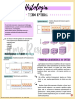 Histologia 1