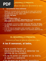 Descripción Por Etapas Del Desarrollo Del Embrión in Útero