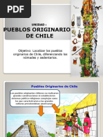 Pueblos Originarios