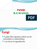 Fungi: B.C.M-Unza