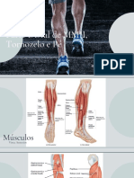 Perna, Tornozelo e Pé