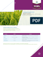 Ficha Técnica: Composición Garantizada