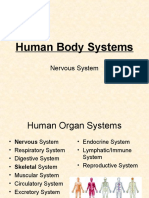 Nervous System