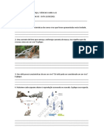 ATIVIDADE DE CIENCIAS 6 A e B