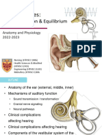 12 - NS5 Ear Audition All Sites (Handout) F2022 (1) (Exported)