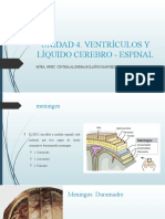 Unidad 4. Ventrículos Y Líquido Cerebro - Espinal: Mtra. Npsic. Cinthia Alondra Bolaños Sánchez