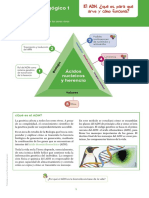 Módulo Pedagógico 1 de Biología: Ácidos Nucleicos y Herencia