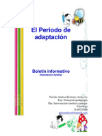 Periodo de Adaptacion