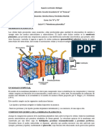 Membrana Plasmatica Guia 5