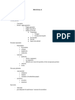 PROCESAL Completo II