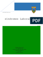 Síndromes Laborales