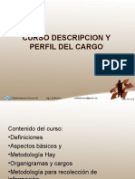 Curso Descripcion y Perfil Del Cargo 06 19