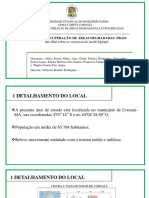 Plano de Recuperação de Áreas Degradadas-Prad:: Um Olhar Sobre As Voçorocas Do Riacho Igarapé