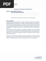 Mecanismos de Protección Constitucional Nombre: Adriana Marcela Figueroa Diana Marcela Garces Zuñiga