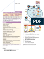 HIV Based On Harrison's Principles of Medicine 21 Ed