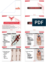 Miembros Inferiores: Miembros Inferiores Osteología de Los Miembros Inferiores