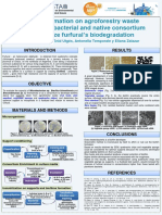 2020 Sdewes Poster Biofilm