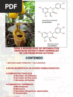 Tema 5 Biosintesis de Metabolitos Vegetales